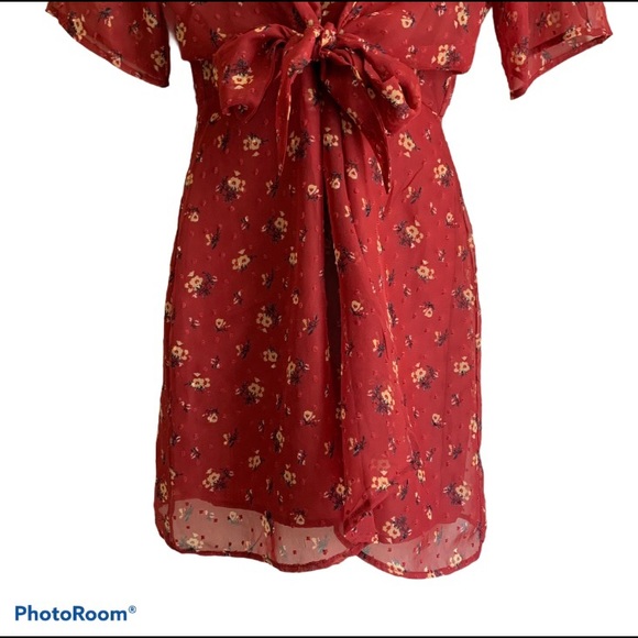 Love Fire Brick Red Fit and Flare Mini Dress - Picture 7 of 13